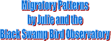 Migratory Patterns
by Julie and the
Black Swamp Bird Observatory